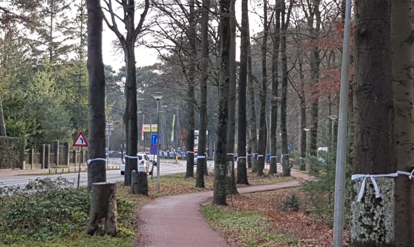 Beroepen bij Raad van State en rechtbank voor behoud bomen en beschermde dieren